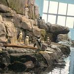 Monterey Bay Aquarium