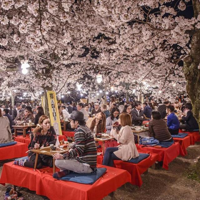Night Out in Kyoto