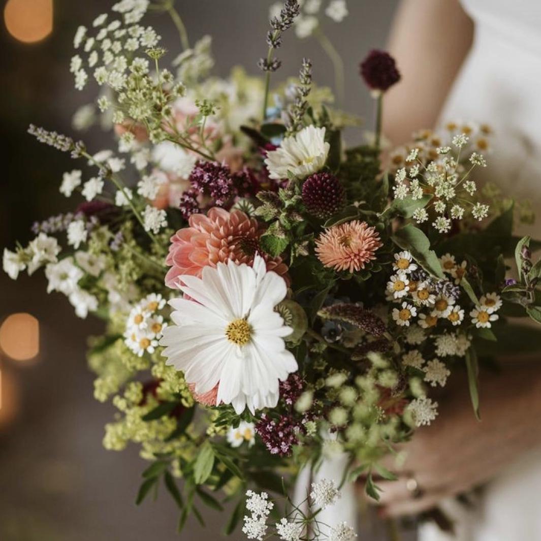 Our Newlywed Fund