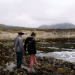 Tide Pooling