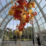 Chihuly Garden and Glass