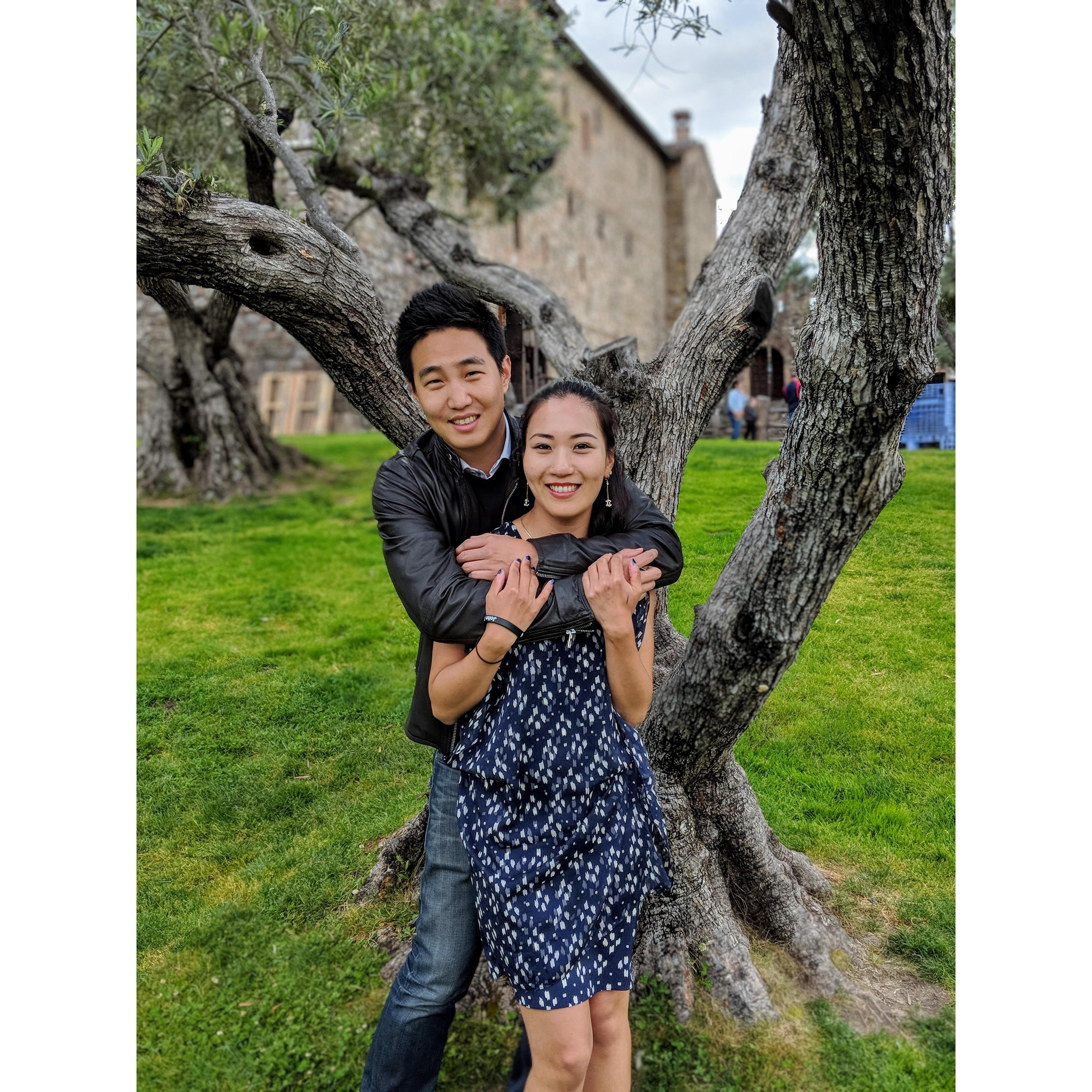 Napa Valley, California
