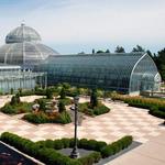 Como Park Zoo & Conservatory