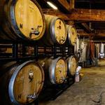 Birds Fly South Ale Project