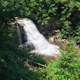 Swallow Falls State Park