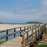 Good Harbor Beach