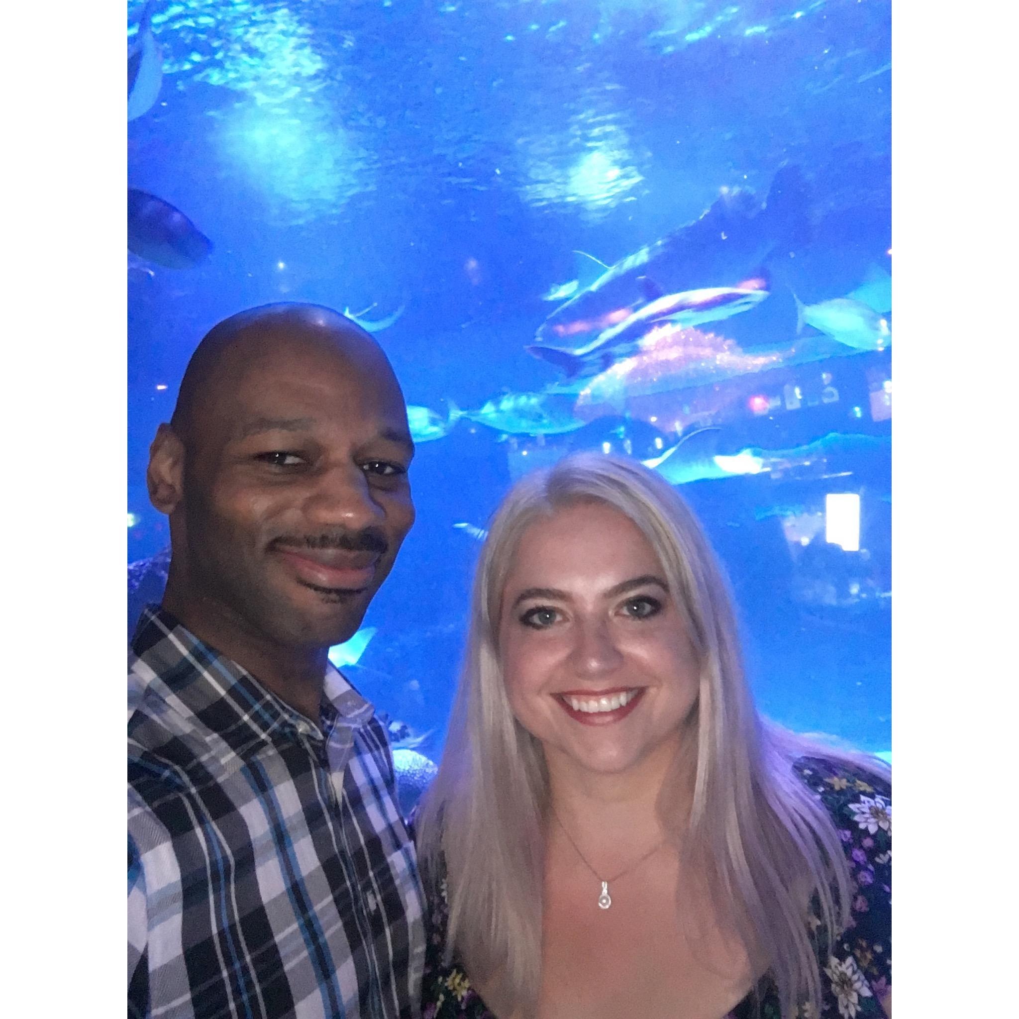 06/07/2019 Houston Aquarium. 
Donavan had a hard time working the camera.. our first attempt was actually a video. LOL - Hill
"I don't regret a lot in my life but wearing that shirt is up there.' Don