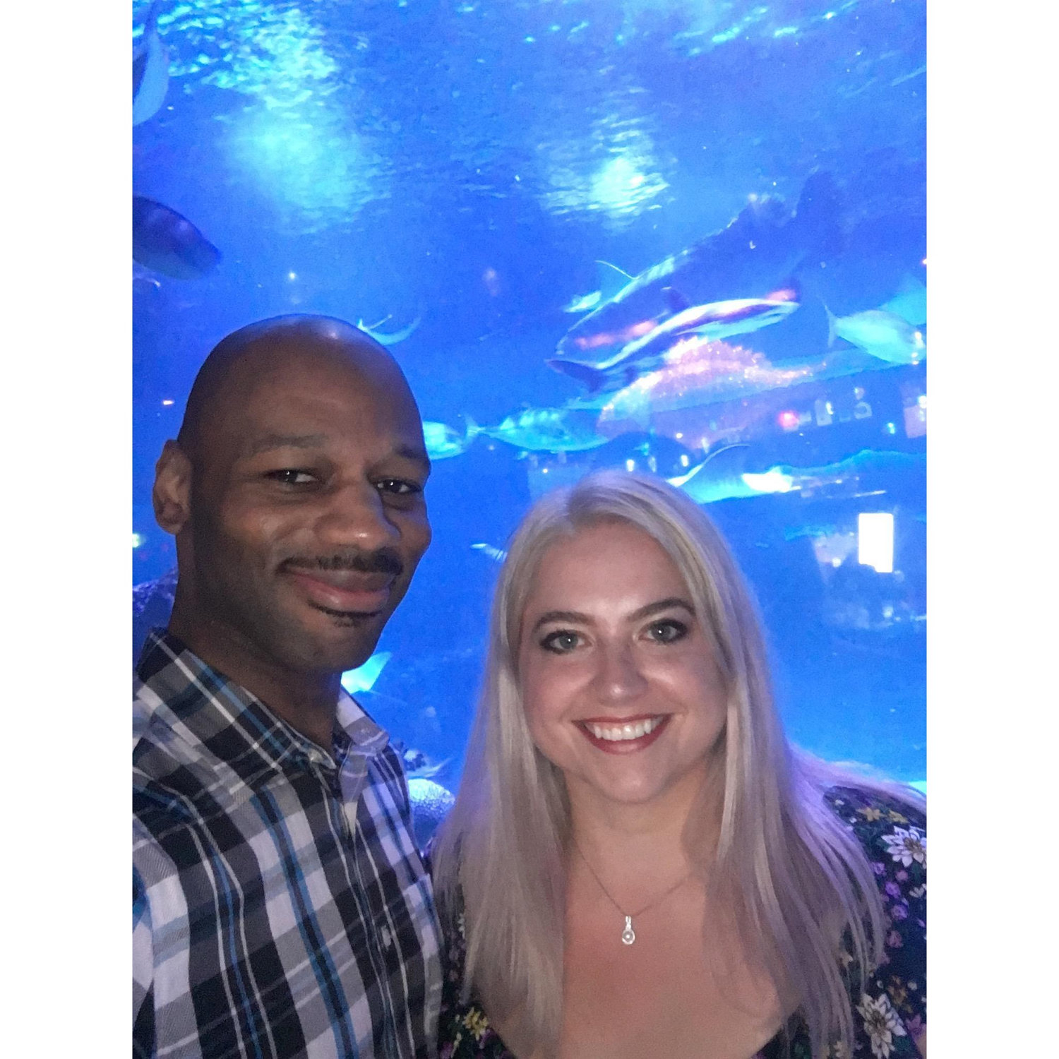 06/07/2019 Houston Aquarium. 
Donavan had a hard time working the camera.. our first attempt was actually a video. LOL - Hill
"I don't regret a lot in my life but wearing that shirt is up there.' Don