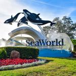 SeaWorld Orlando