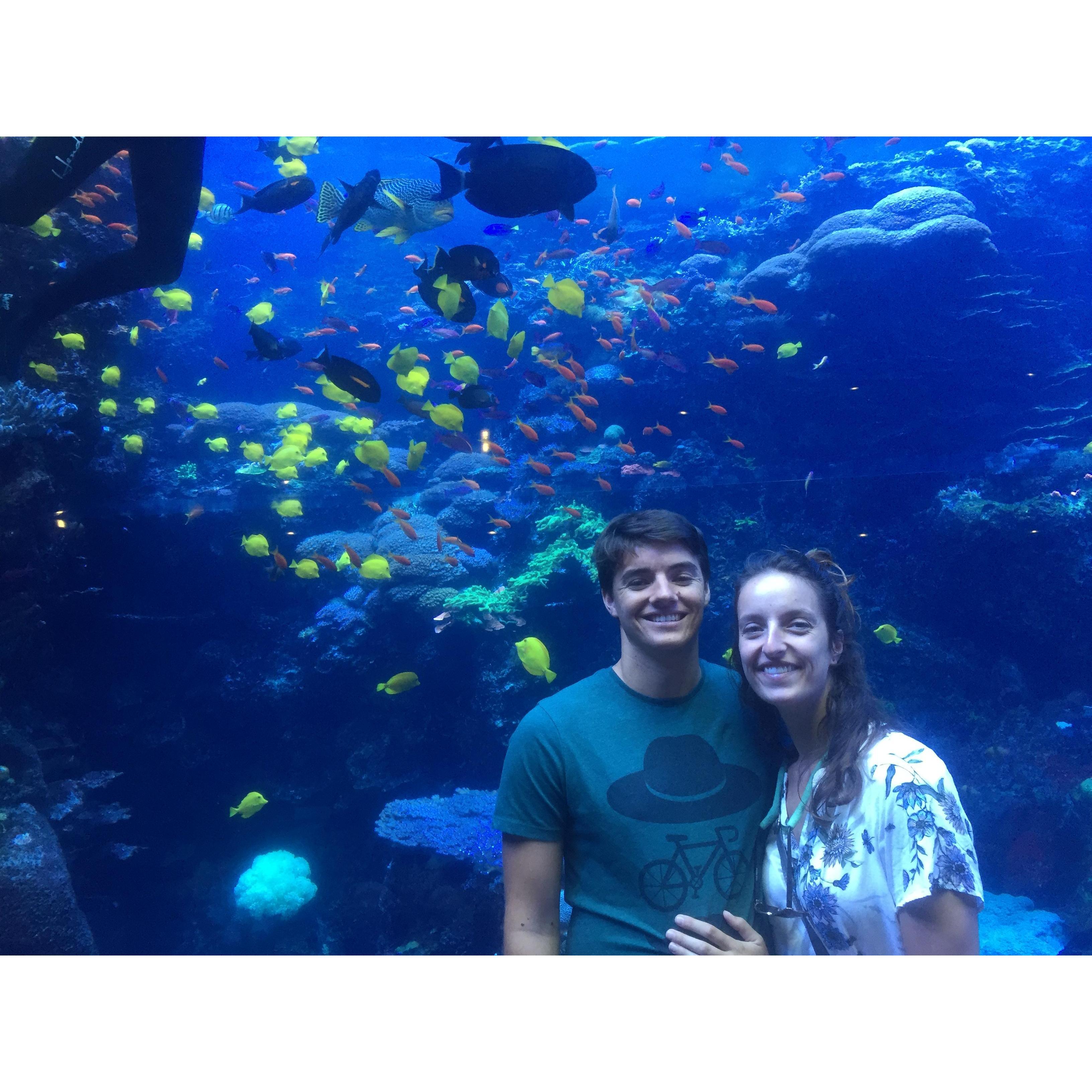 Georgia Aquarium