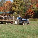 Mill Stream Run Reservation- Fall Hayrides