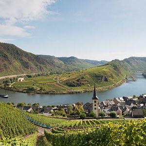 Wine Tour for 2 in Rheingau: Wine, History & Scenic Views