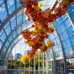 Chihuly Garden and Glass