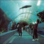 New England Aquarium