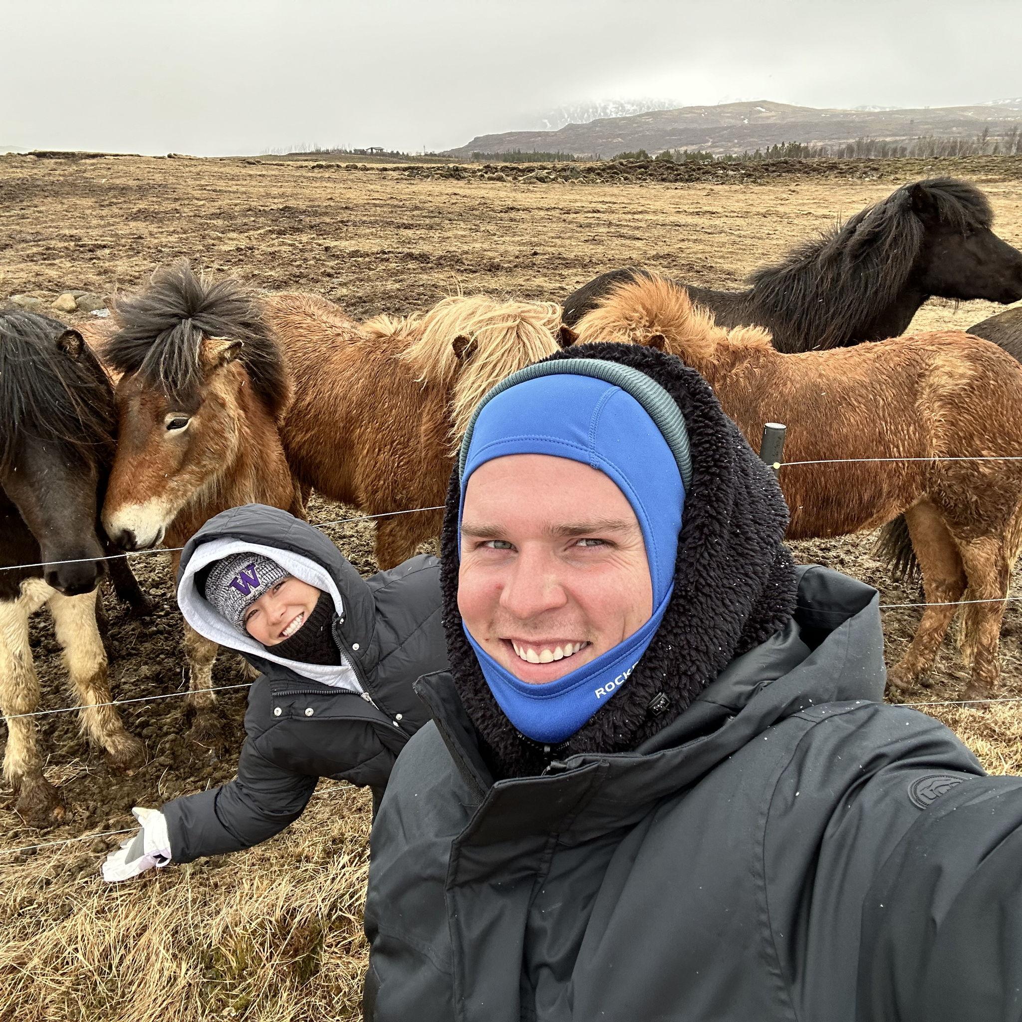 Pulling over to feed the horses on our road trip!