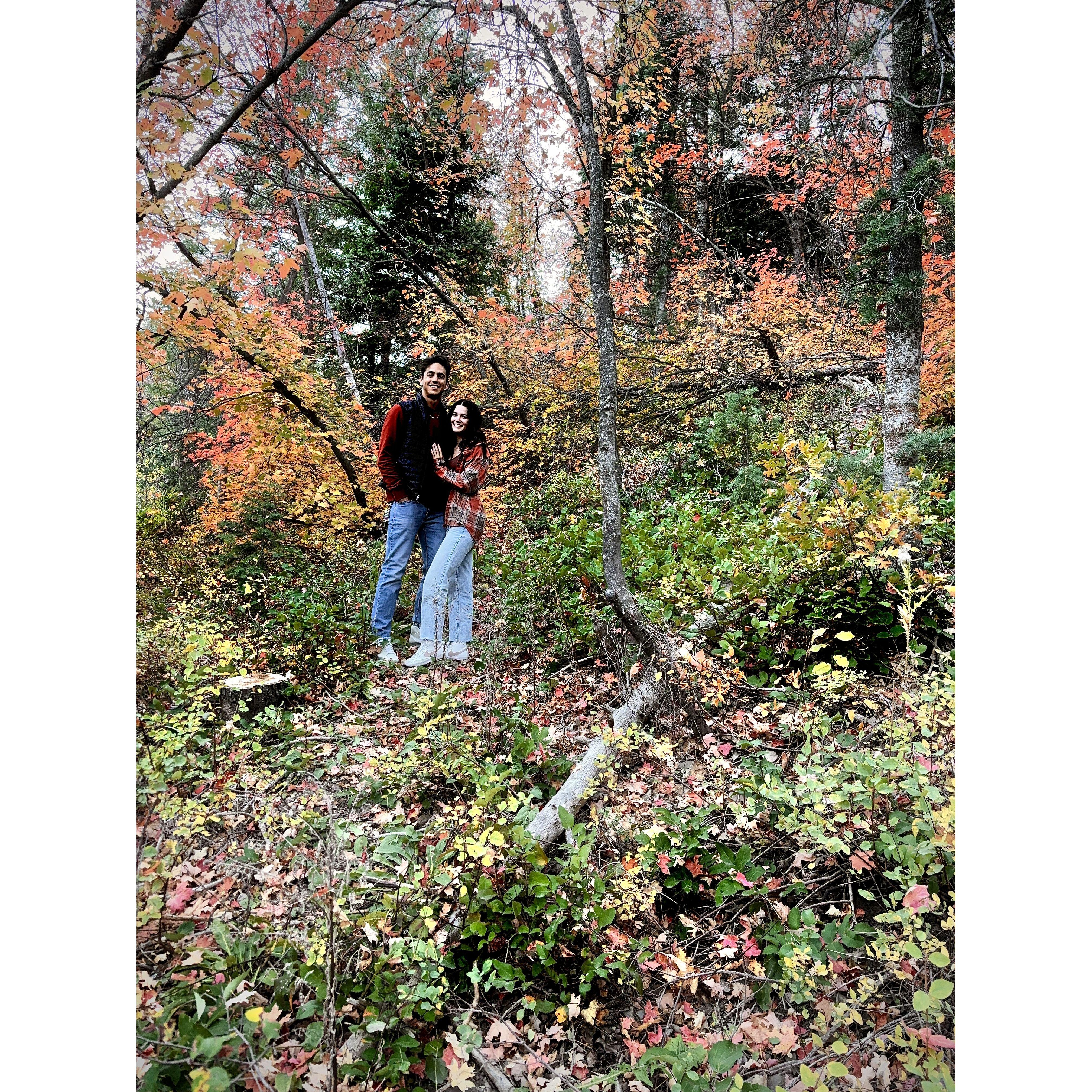 Sundance In Fall 2024