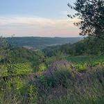 Tuscany