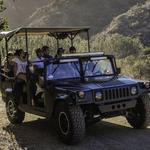 Catalina "Safari" Tour