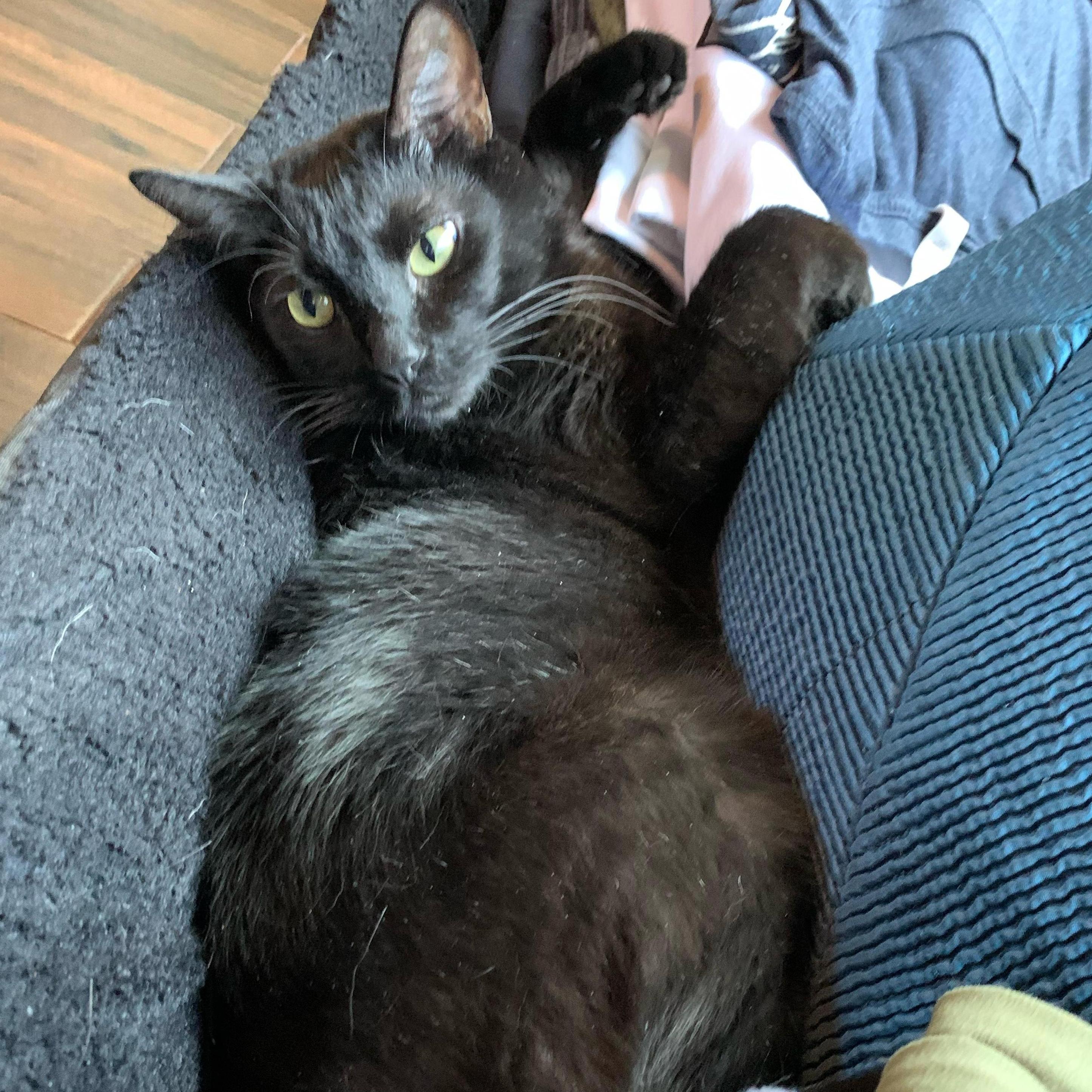 More of our baby boy