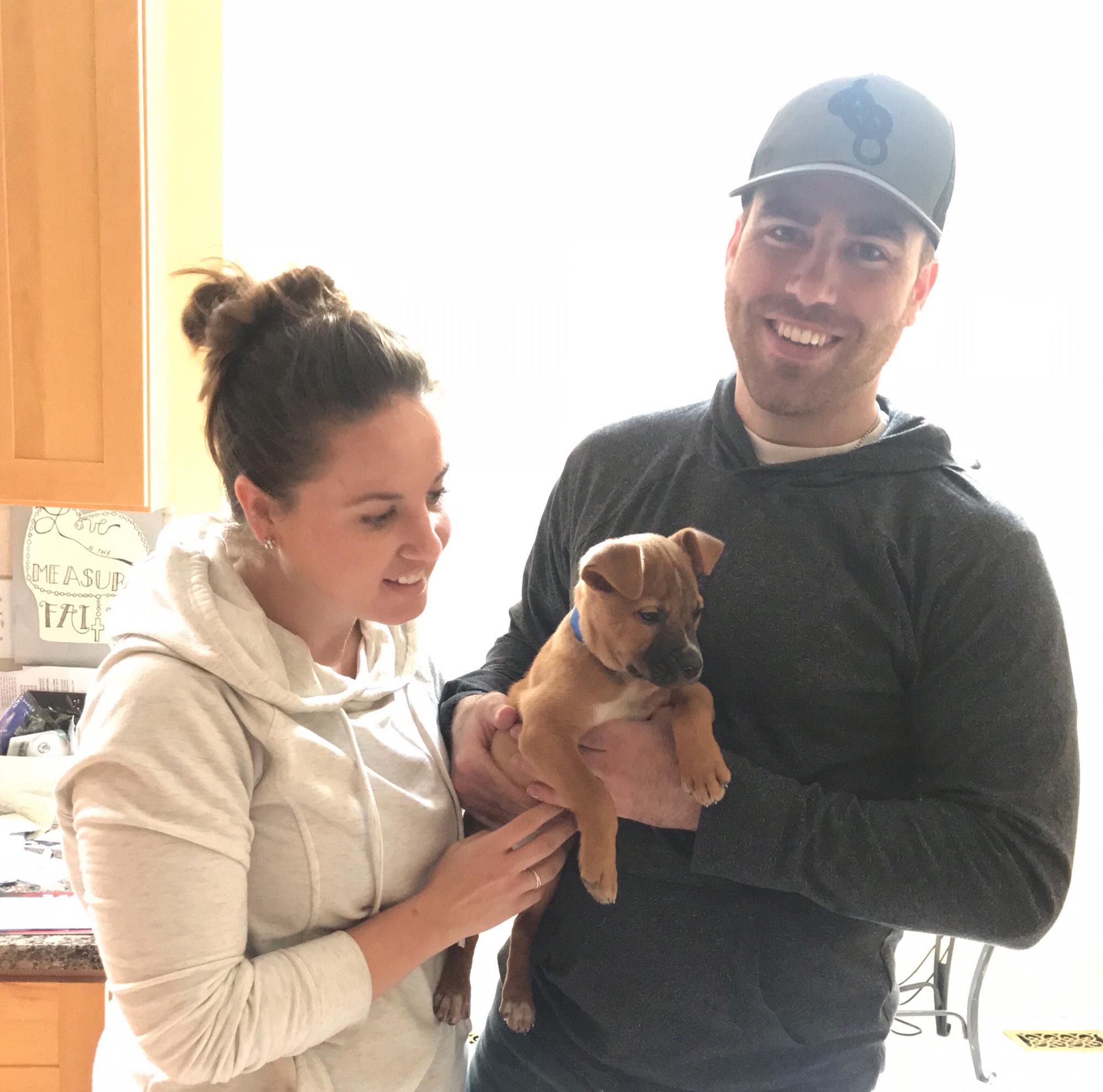 Adopted Frazier, the Boxer... he stole our hearts ❤️