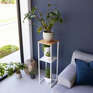 Tower 2-Tier Display & Storage Shelf