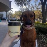 Orange Blossom Coffee