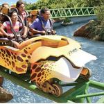 Busch Gardens Tampa Bay