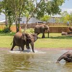 Sedgwick County Zoo