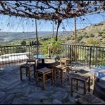 Tsangarides Winery