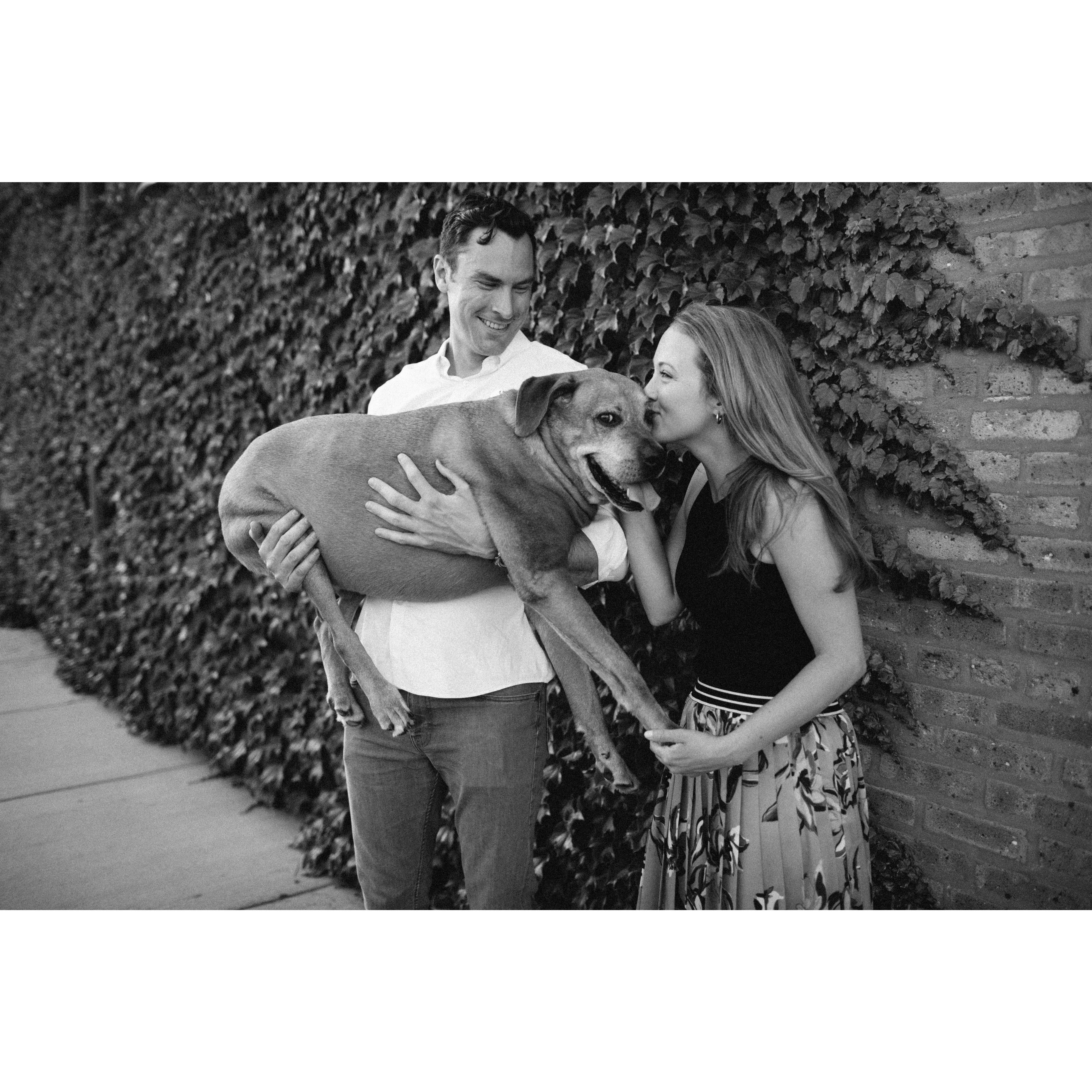 engagement photos with gus!