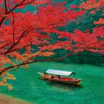 Katsura River