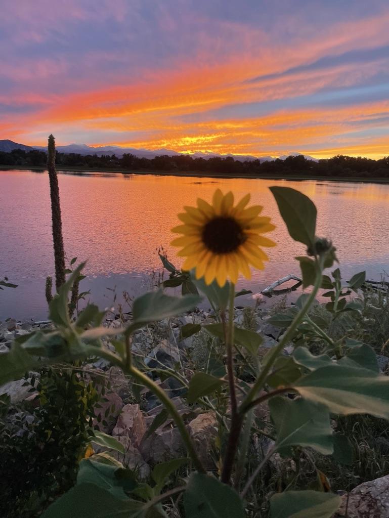 The Wedding Website of Daphnée Morency and Erik Hanson