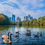 Piedmont Park