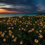 Dana Point Headlands Conservation Area