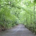 Wissahickon Valley Park