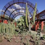 Visit the Desert Botanical Garden