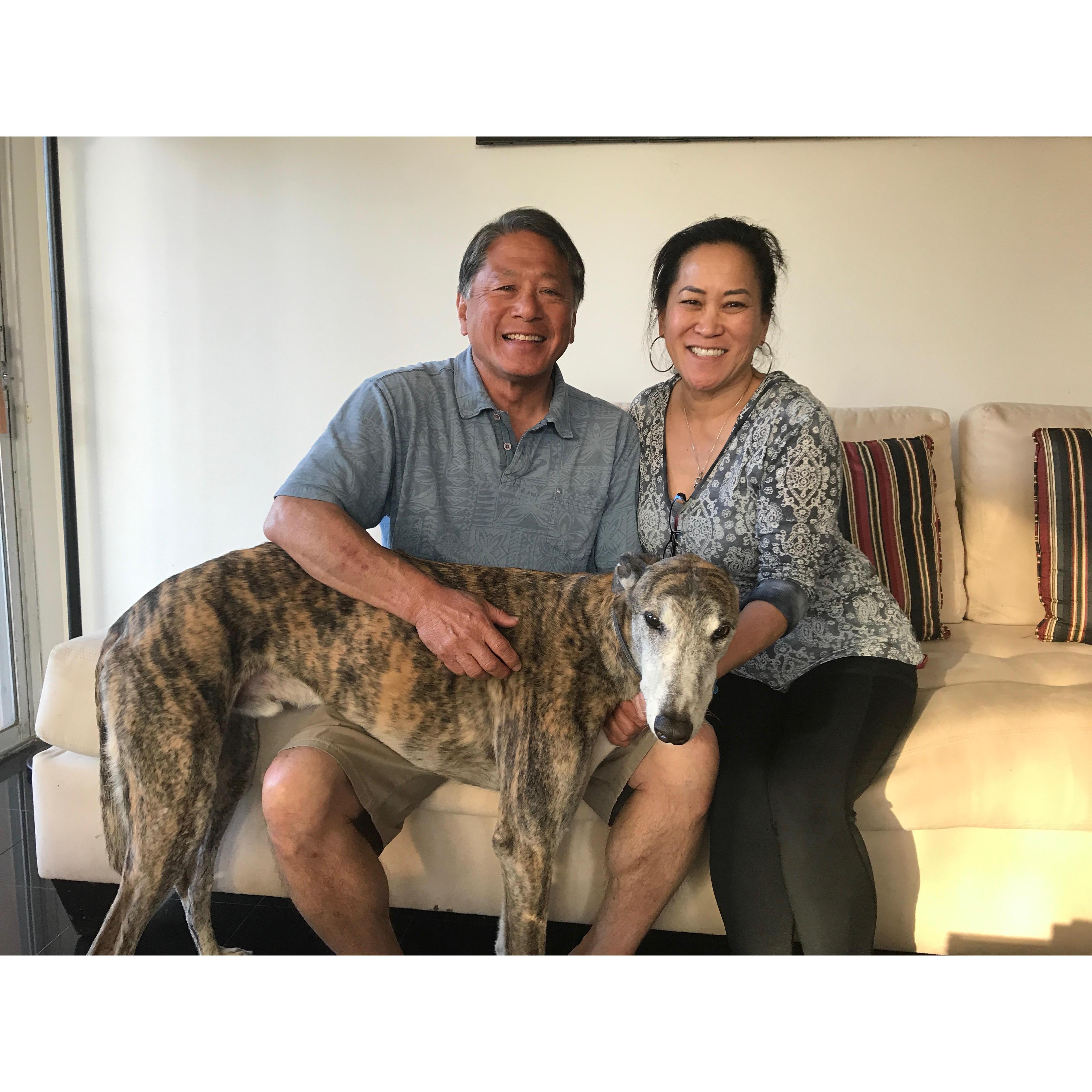Stan and Kelly with their favorite child, Dodger the greyhound rescue