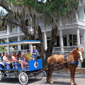 Hilton Head Historical Horse Carriage Tour