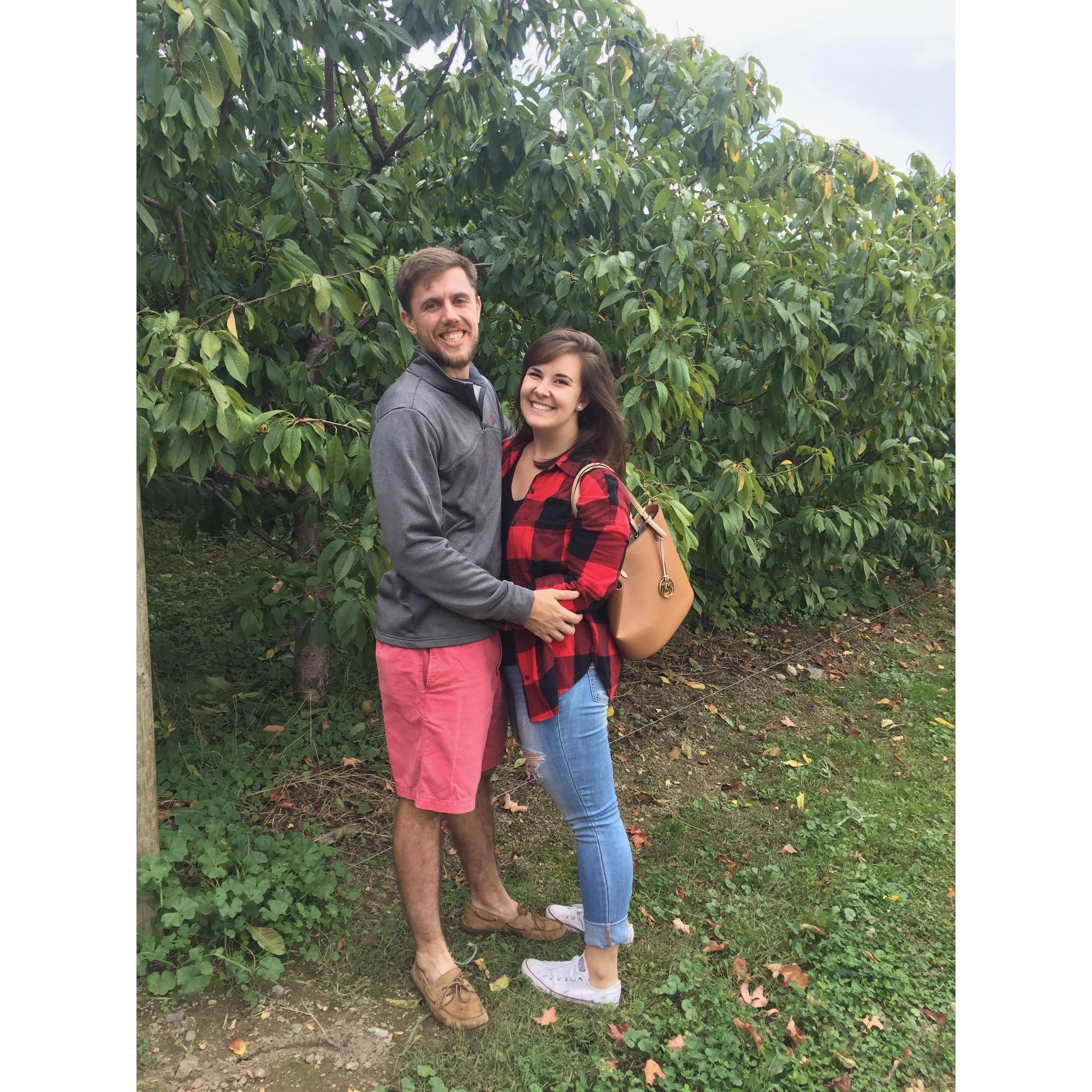 Apple picking 2017