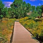Big Morongo Canyon Preserve