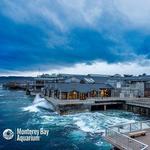 Monterey Bay Aquarium
