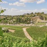 Temecula Wine Country