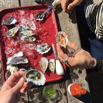 Hog Island Oyster Farm