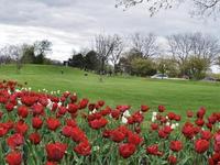 Riverview Park