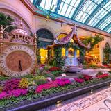 Bellagio Conservatory & Botanical Gardens