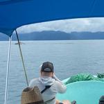 Dolphin watching