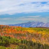 Manti-La Sal National Forest