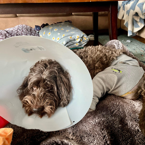 Sage's Recovery Fund