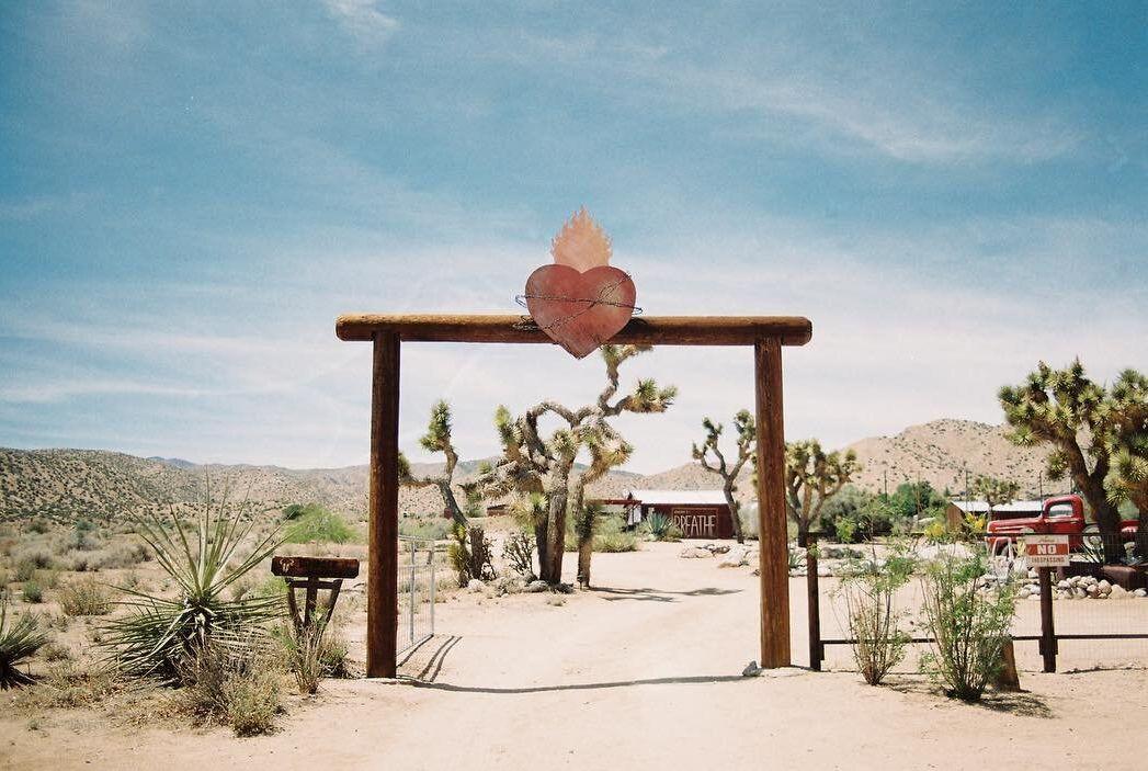 The Wedding Website of Hillary Barton and James White
