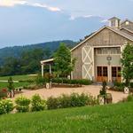 Pippin Hill Farm & Vineyards